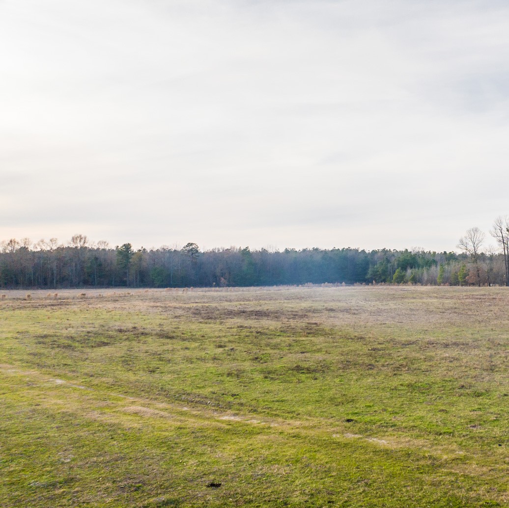 Southern roots