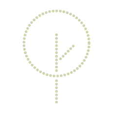 https://chestnutcarbon.com/wp-content/uploads/2025/06/Illustrations.webp