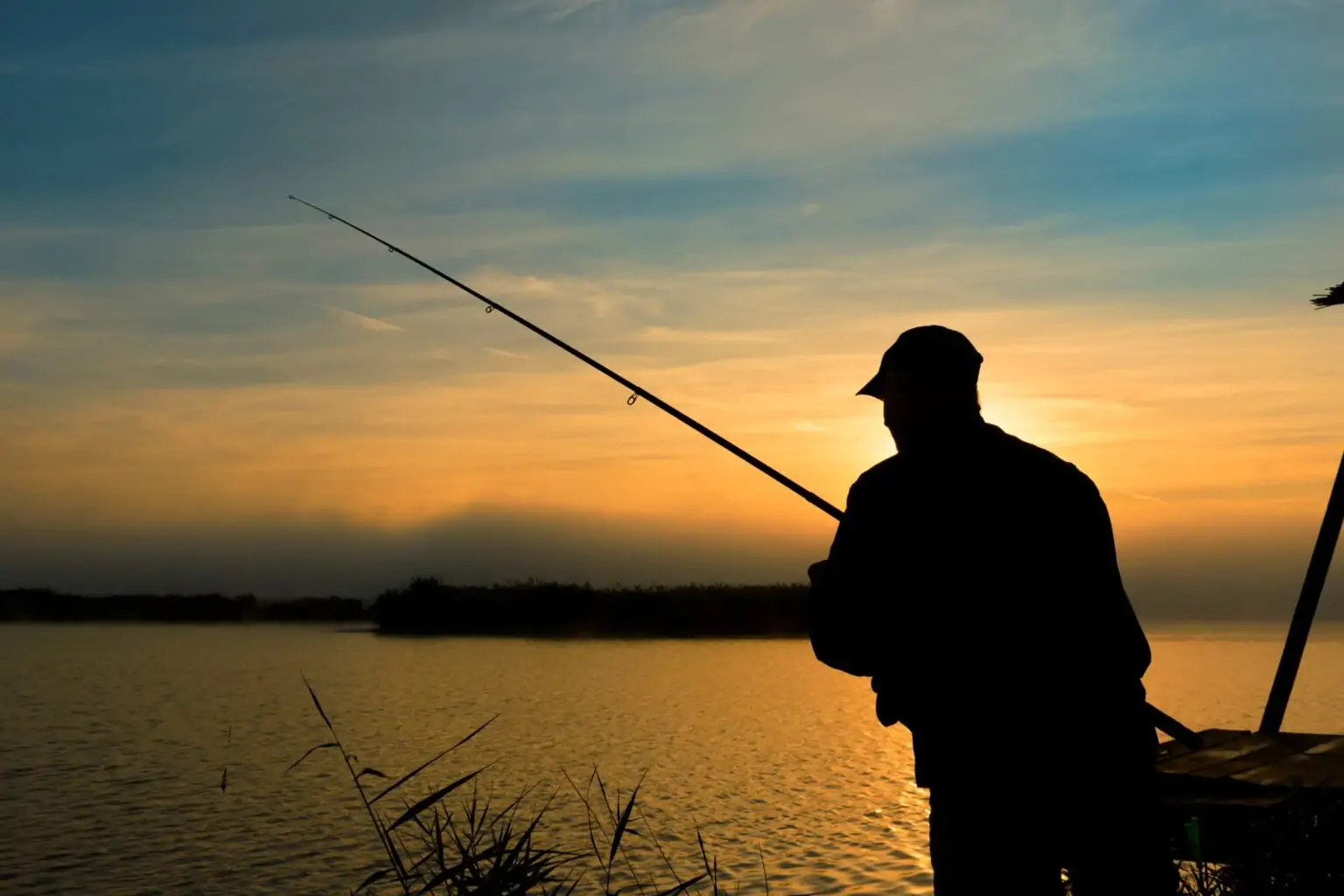 afs-tomorrows-catch-securing-future-fisheries