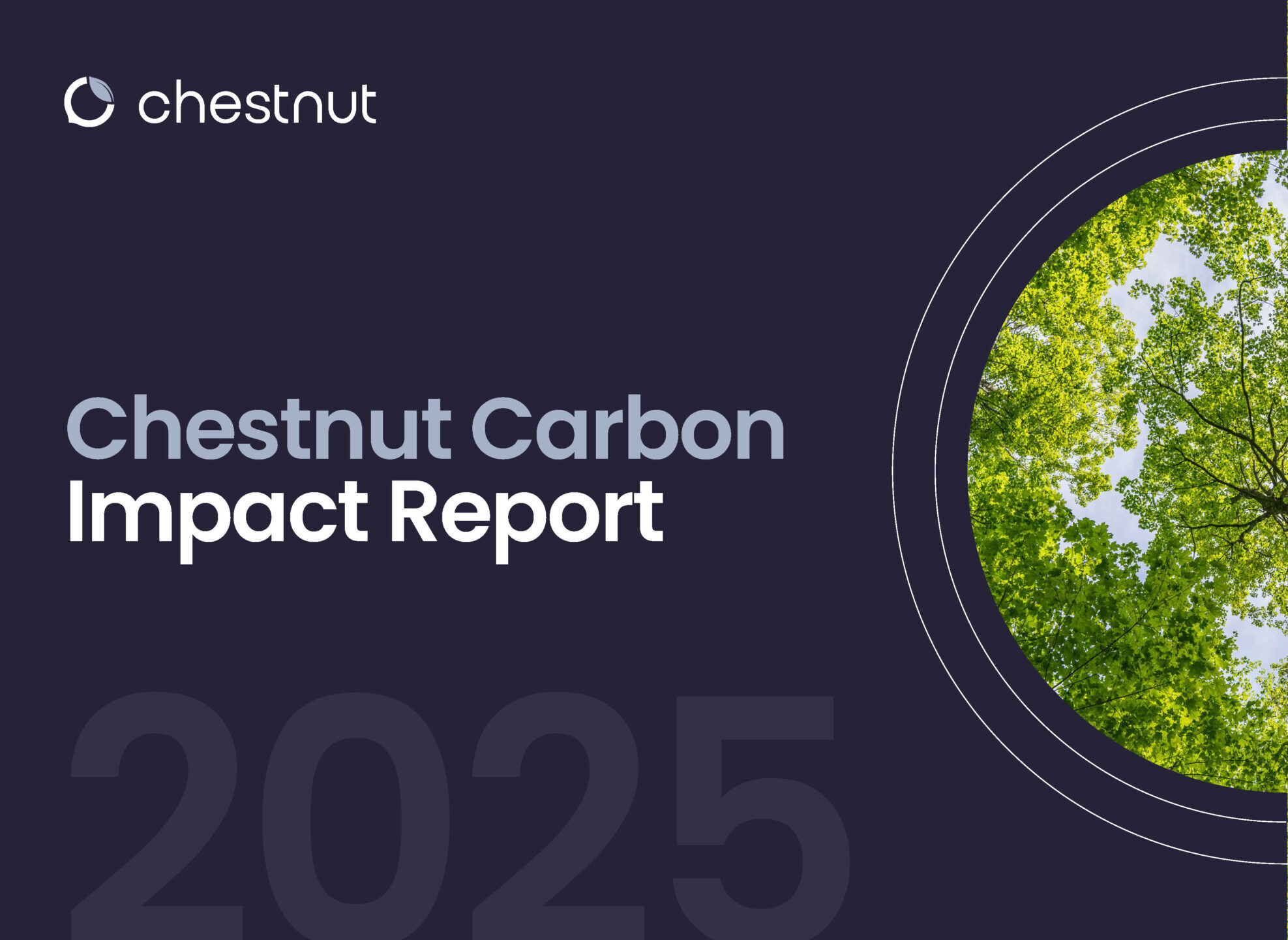 Cover_ImpactReport_2025