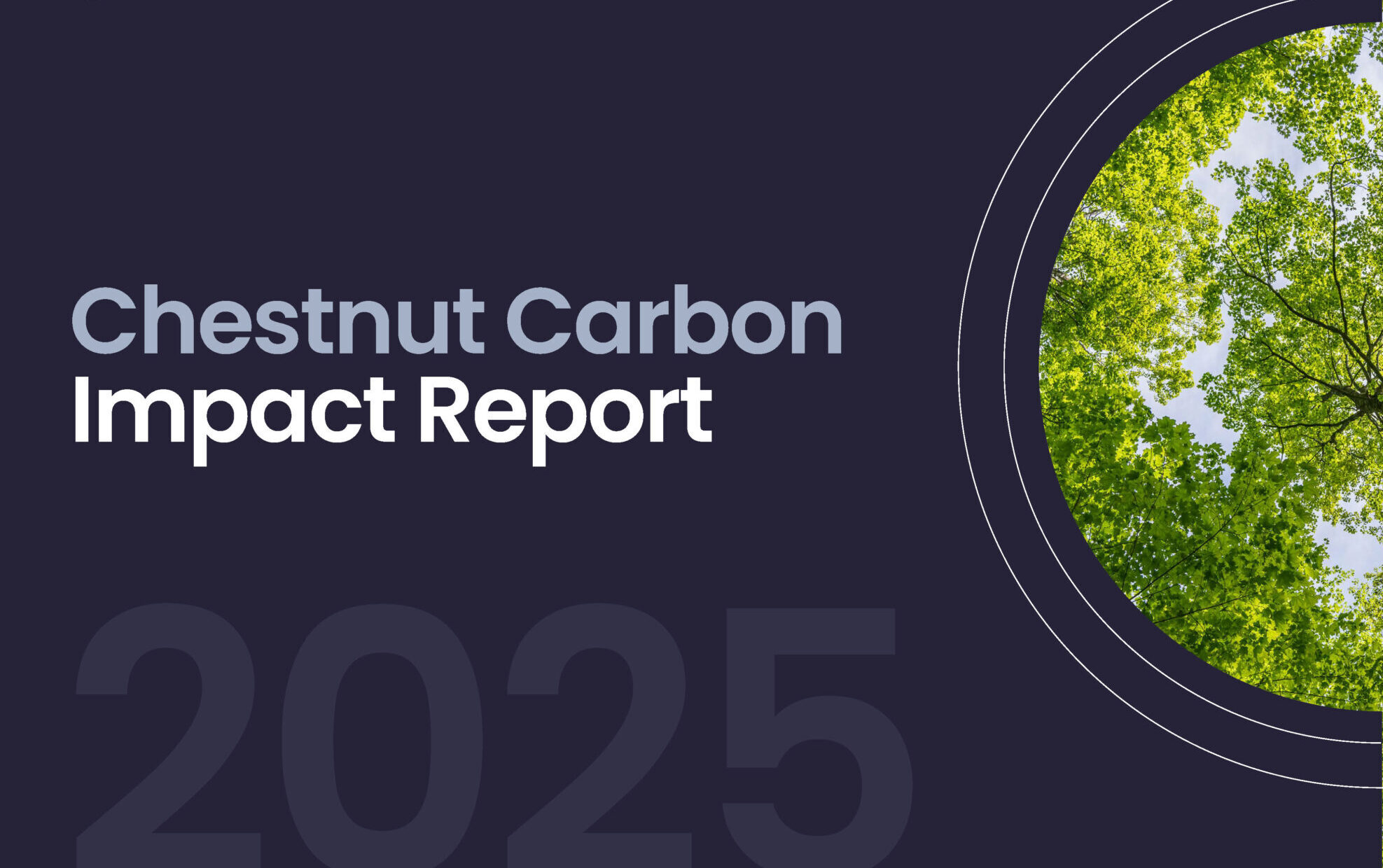 Cover_ImpactReport_2025