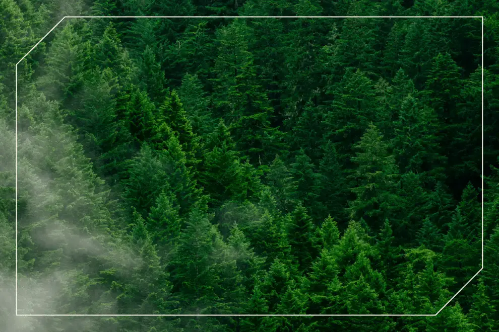 IFM-Whitepaper-cover