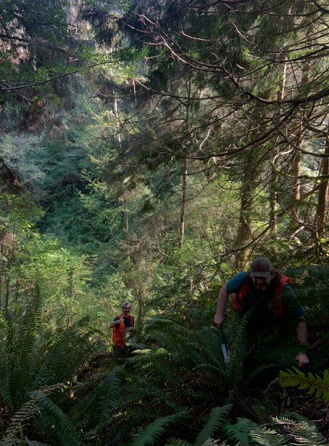 dan and james in forest