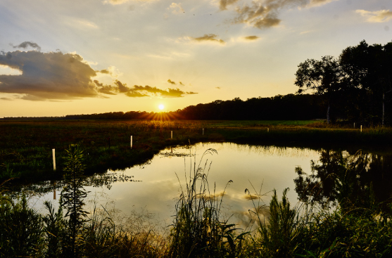 Sunset in VP